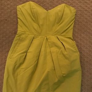 Ladakh Strapless Dress